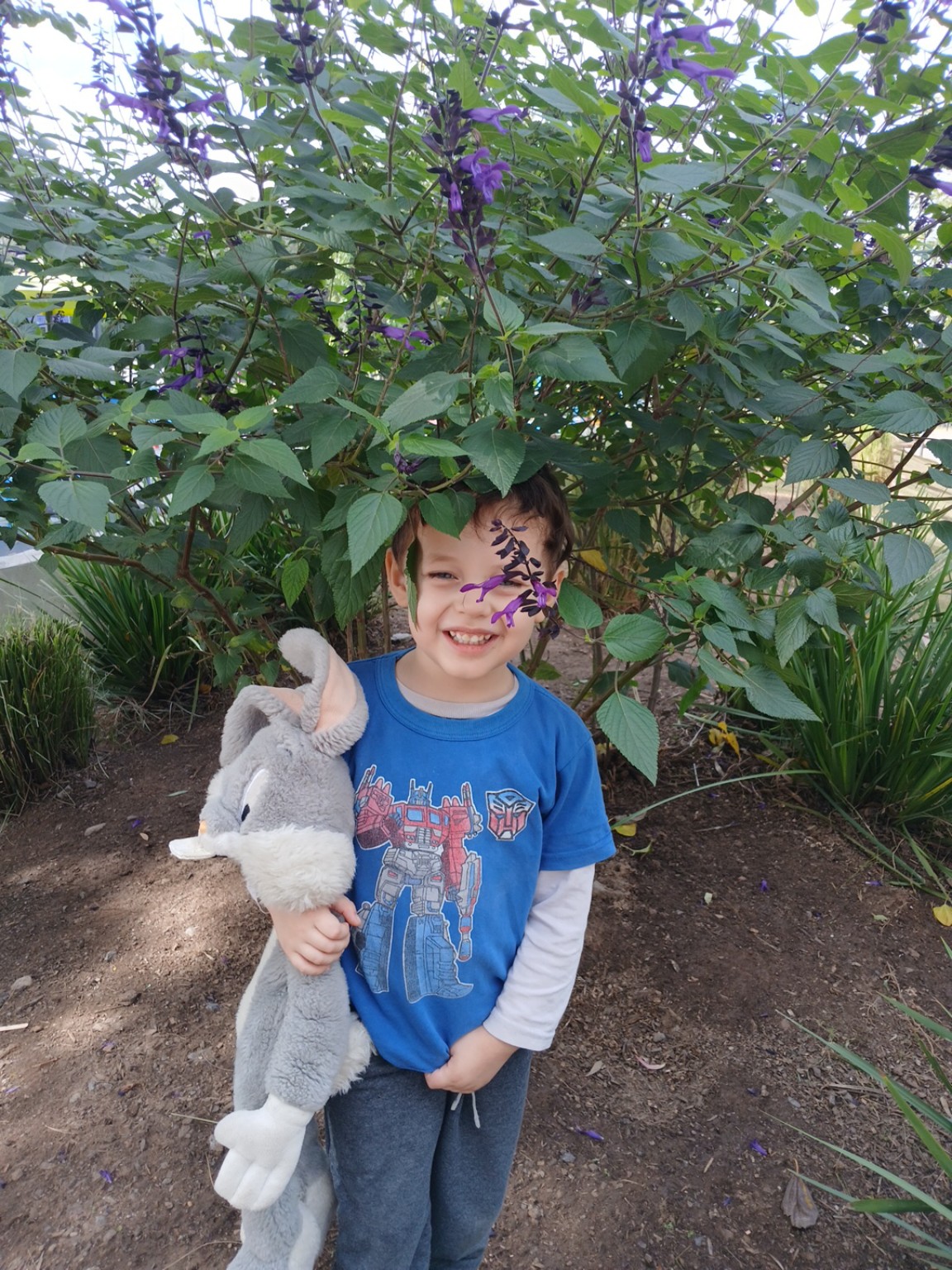Felipe con una salvia mexicana en el polideportivo